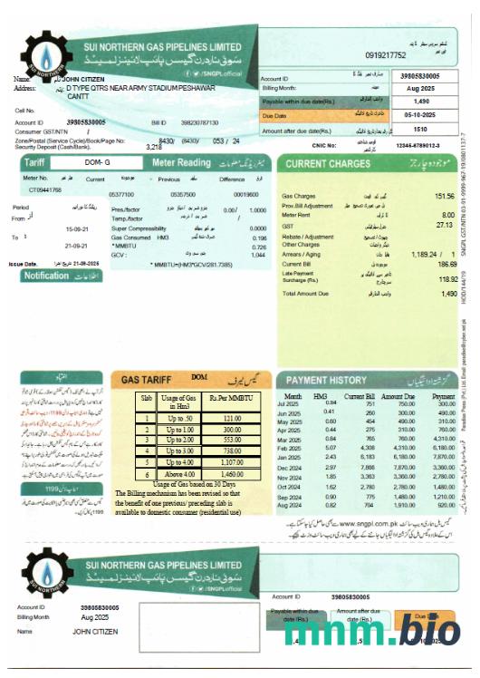 Pakistan Sui Northern gas Pipelines Limited rachunek za media szablon w formacie Word i PDF